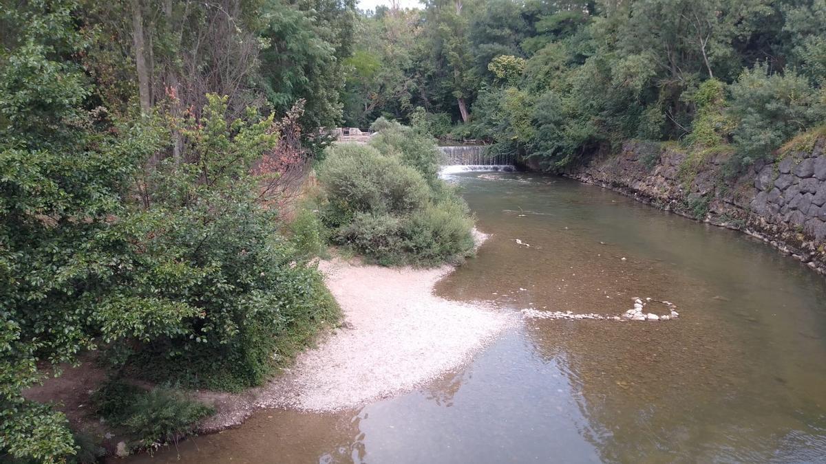 Río Arga a su paso por Huarte / EP 