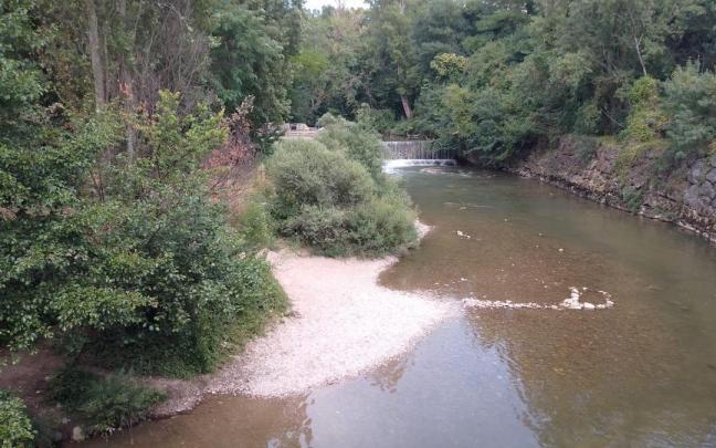 Río Arga a su paso por Huarte / EP 