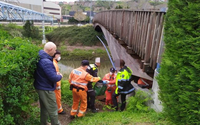 Desmantelamiento y limpieza del asentamiento de Barakaldo Desmantelamiento y limpieza del asentamiento de Barakaldo
