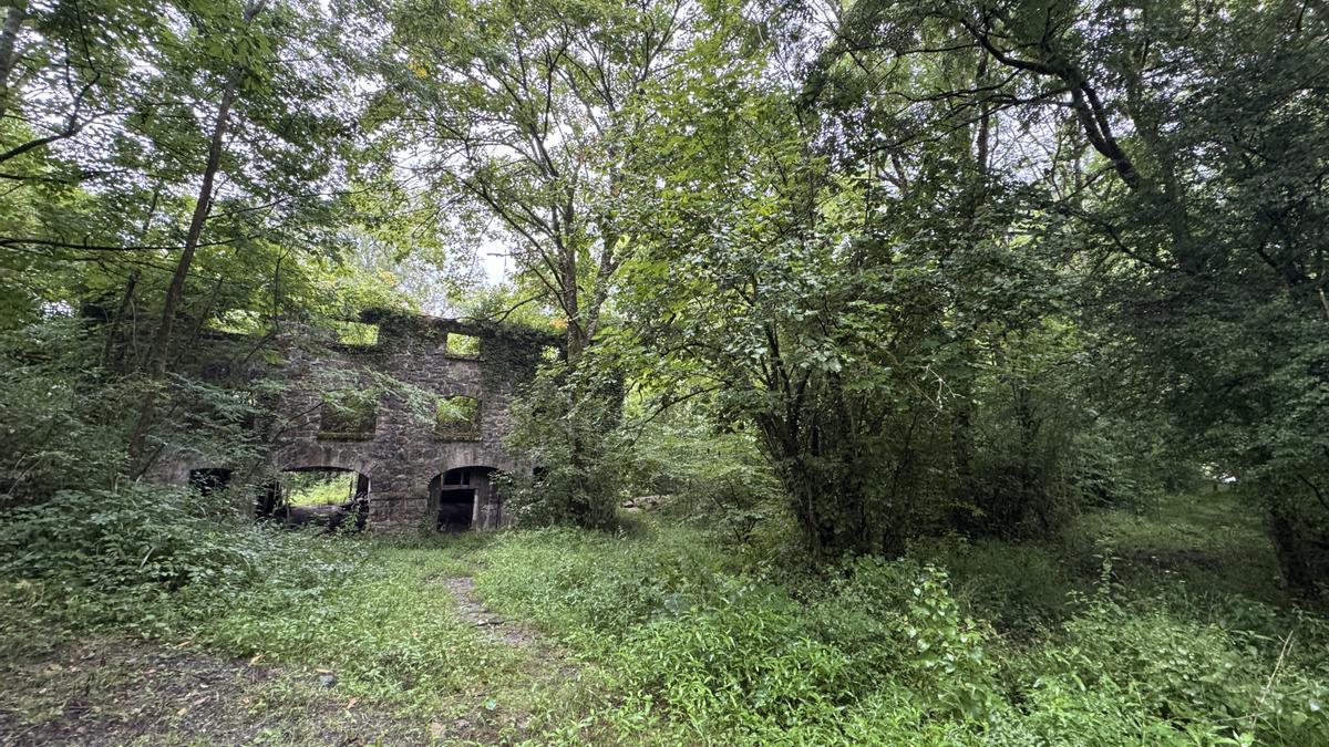 Dentro del parque de Etxezarreta, el caserío Sagastietxea, en ruinas, cuenta a su alrededor con un jardín botánico que va a restaurarse.