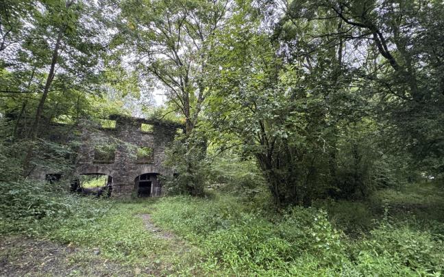 Dentro del parque de Etxezarreta, el caserío Sagastietxea, en ruinas, cuenta a su alrededor con un jardín botánico que va a restaurarse. / A.U. Dentro del parque de Etxezarreta, el caserío Sagastietxea, en ruinas, cuenta a su alrededor con un jardín botánico que va a restaurarse.