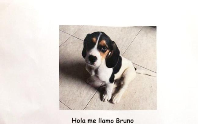 Imagen del cartel viral de la comunidad de vecinos