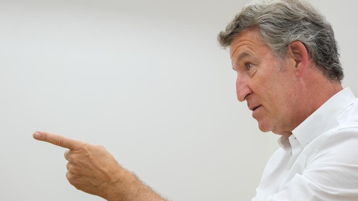 El presidente del Partido Popular, Alberto Núñez Feijóo, durante una entrevista-