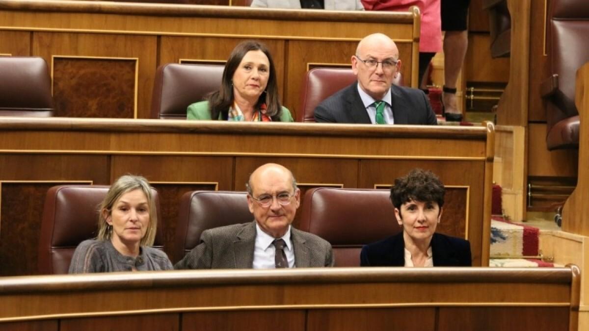 El PNV ha subrayado que el Grupo Vasco ha luchado para que estos pequeños propietarios no se equiparen a los grandes tenedores o fondos buitre.