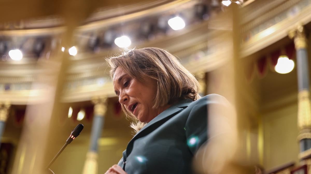 La vicesecretaria de Regeneración Institucional del PP, Cuca Gamarra, ha indicado que "pese a los avisos, los fallos seguían este año".