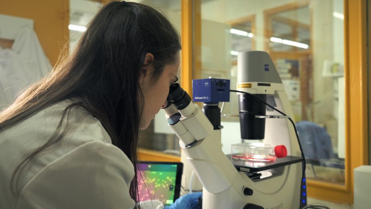 Helena García, doktoratu aurreko ikertzailea Minbiziaren Aurkako Arabako Elkartearen laguntzarekin.