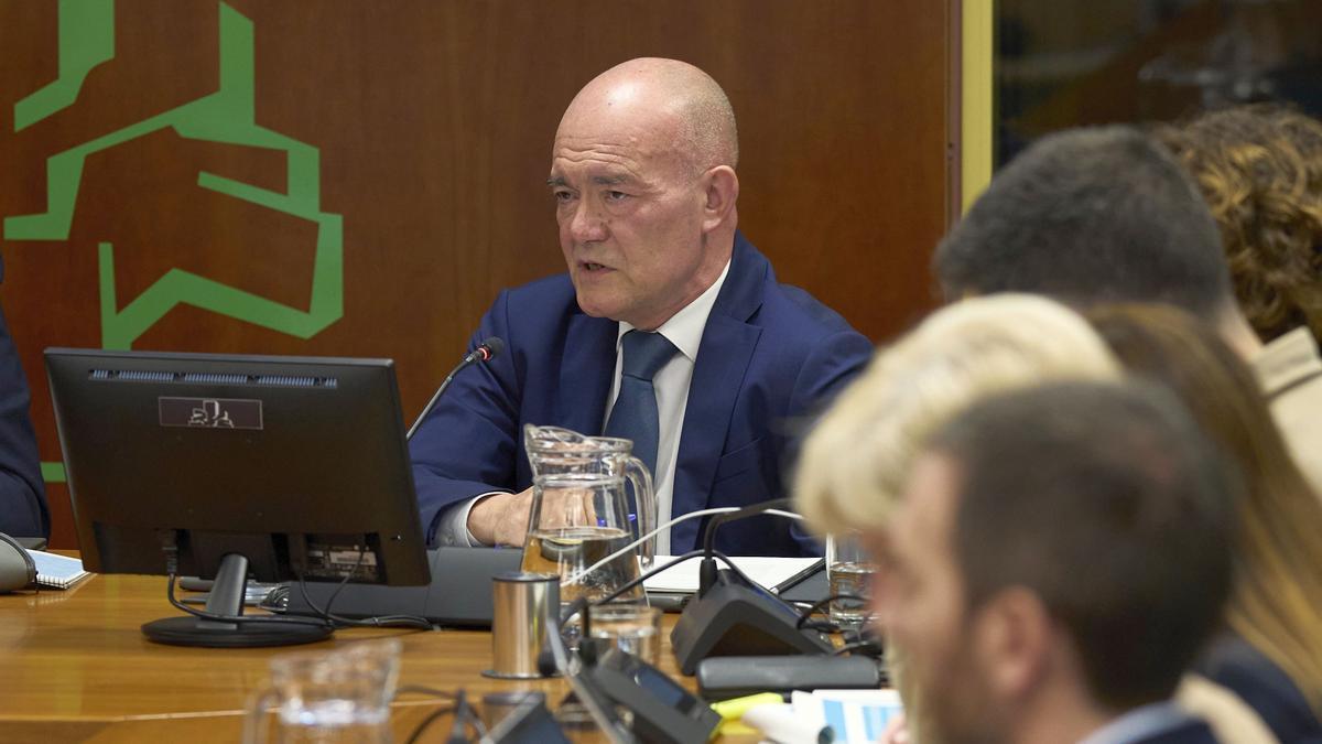 Juan Ignacio Pérez, en su comparecencia en el Parlamento.