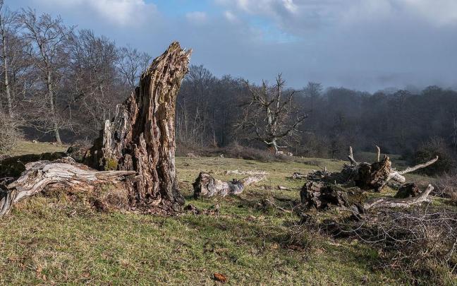 Perspectiva del entorno natural de Iturrieta (Salvatierra Agurain), en Álava