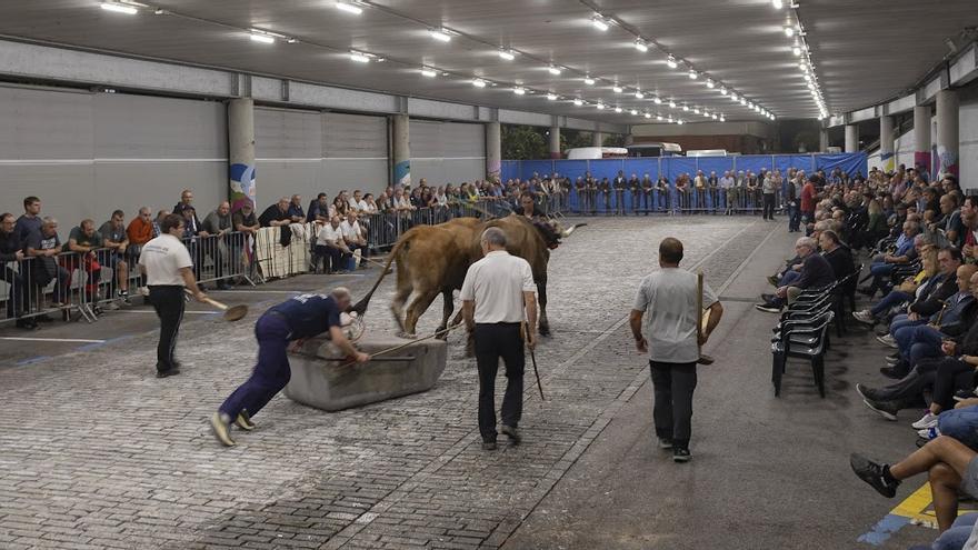El probadero de Sigma sirvió de marco a la competición las noches del viernes y el lunes.