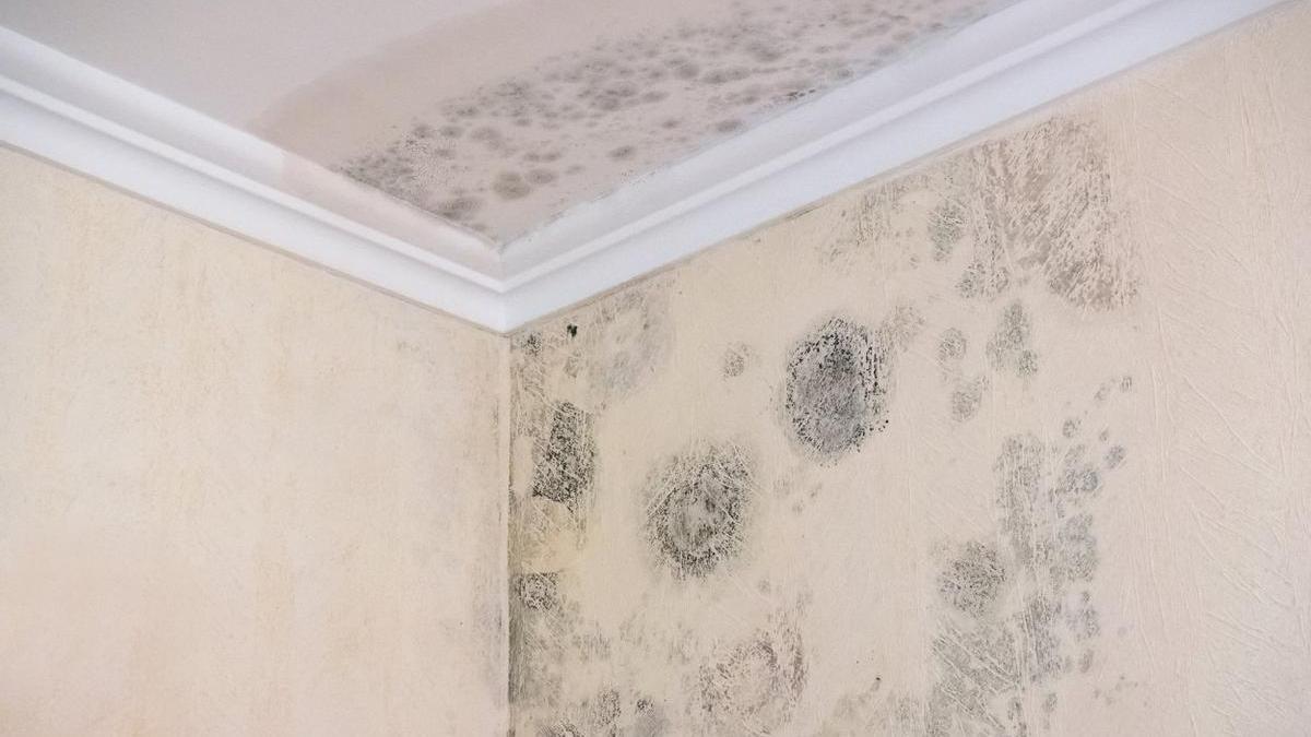 Techo con humedades