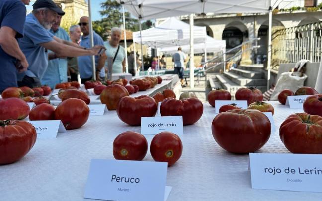 Una edición anterior del concurso de tomates de Aretxabaleta.