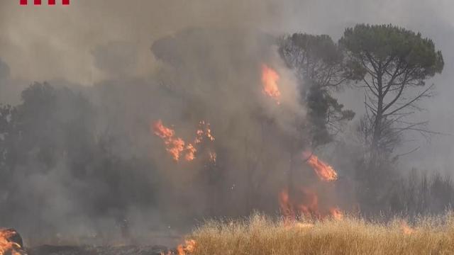 Imágenes de los incendios que están activos en Catalunya