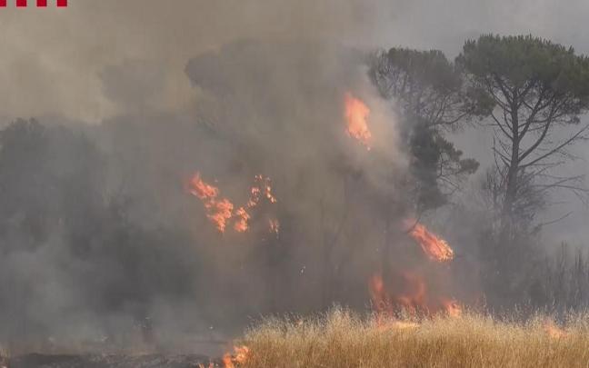 Imágenes de los incendios que están activos en Catalunya