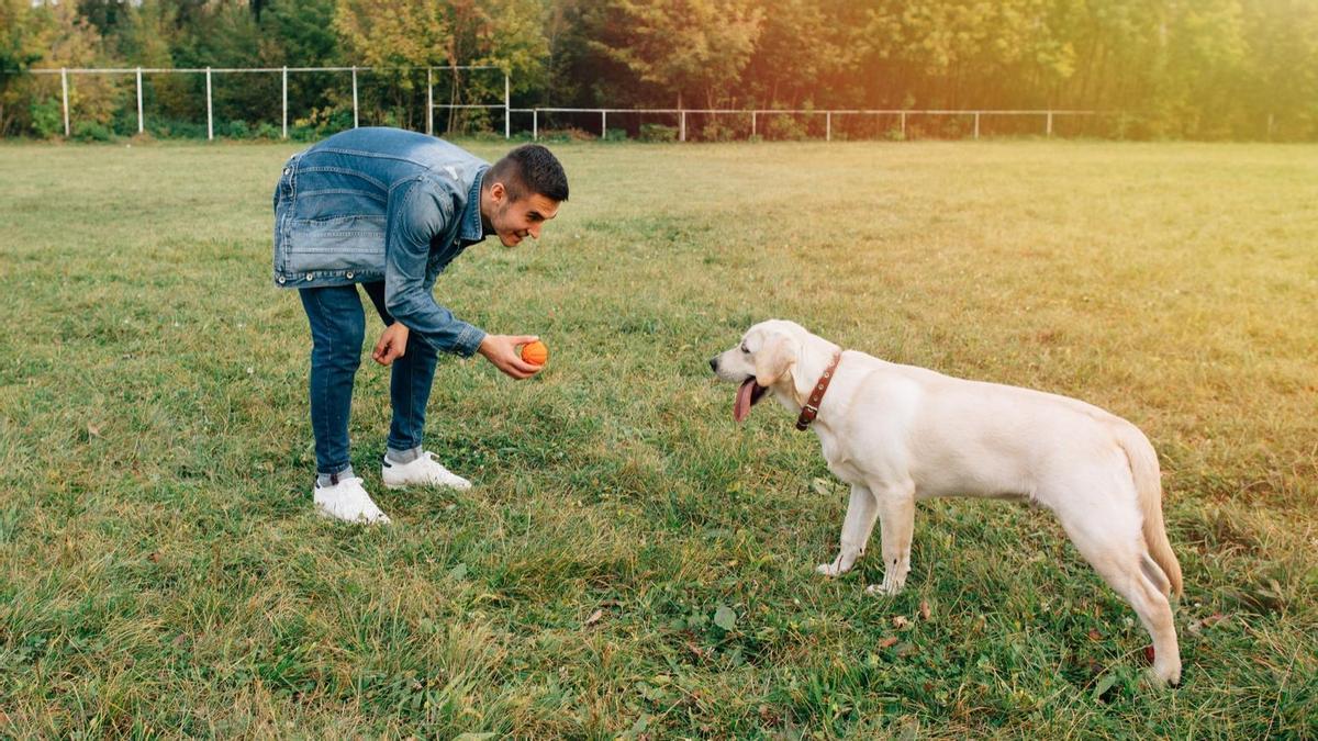 cómo se inicia un parque comunitario para perros