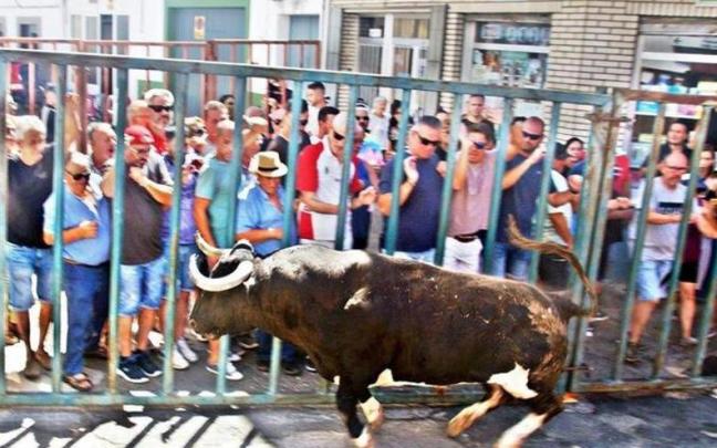 Una vez en el suelo, el animal arremetió contra él hasta en cuatro ocasiones. Una vez en el suelo, el animal arremetió contra él hasta en cuatro ocasiones.