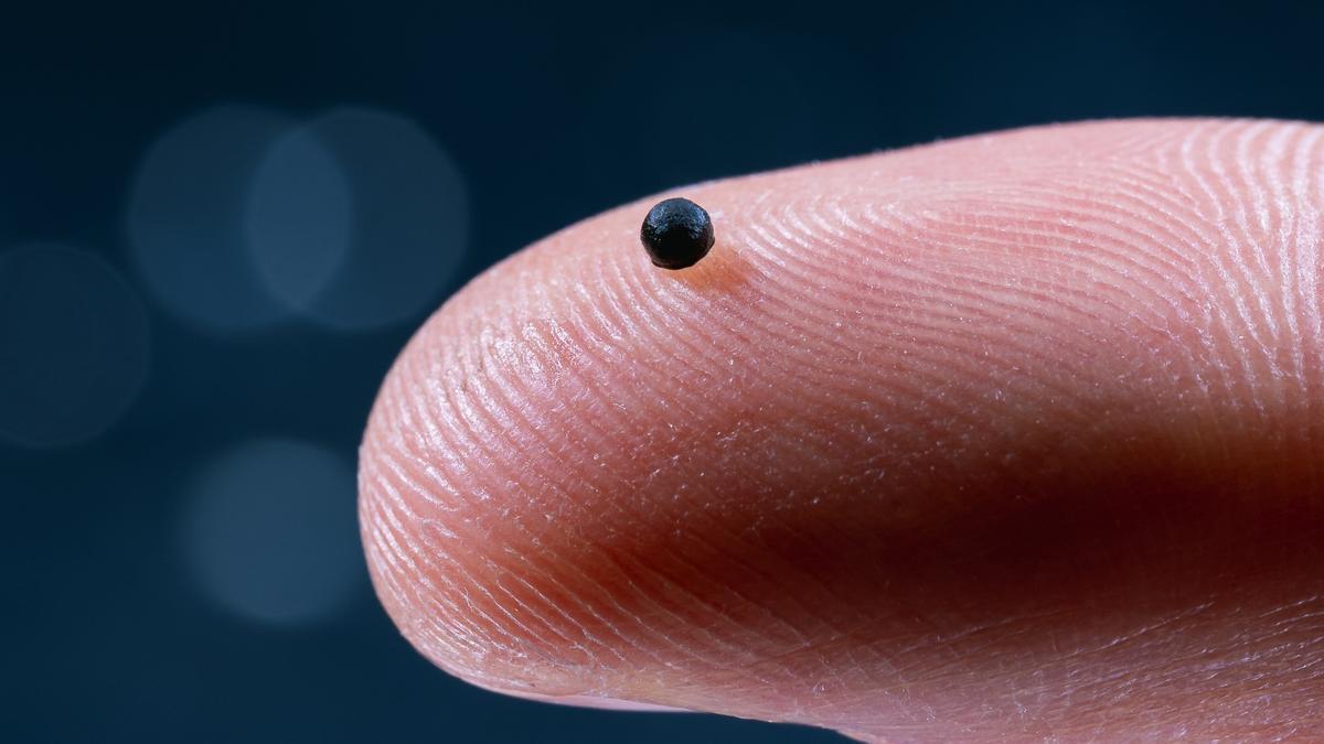 El microbot que circulará por nuestro cuerpo para deshacer trombos o atacar directamente un tumor.