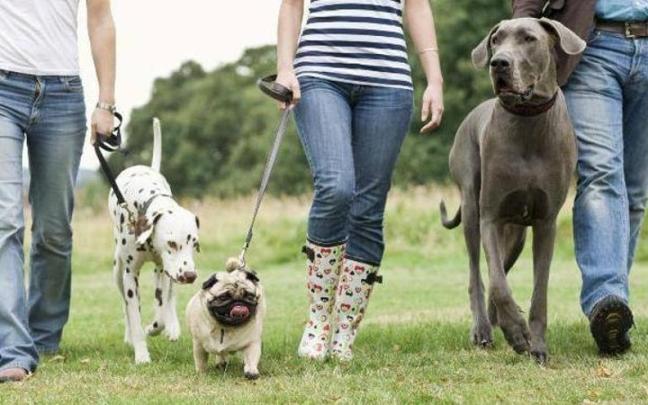 La población de Basauri apoya las campañas para mejorar la convivencia con las mascotas