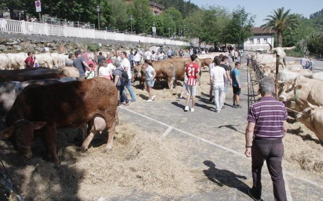 La feria ganadera mostrará 300 cabezas de vacuno, caballar y ovino