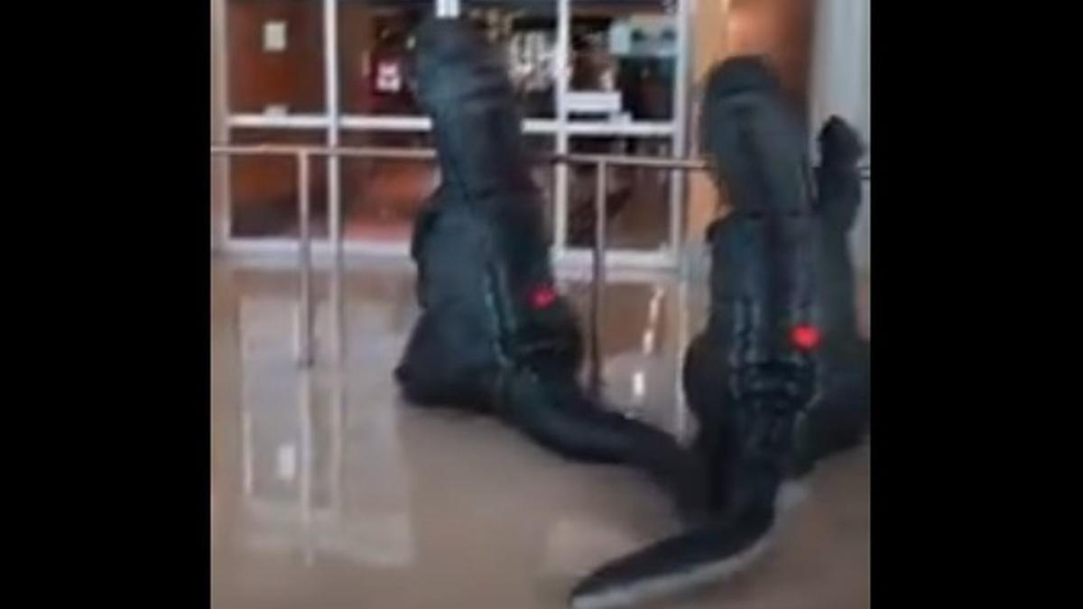 Los niños, disfrazados esperando a su abuela en el aeropuerto.