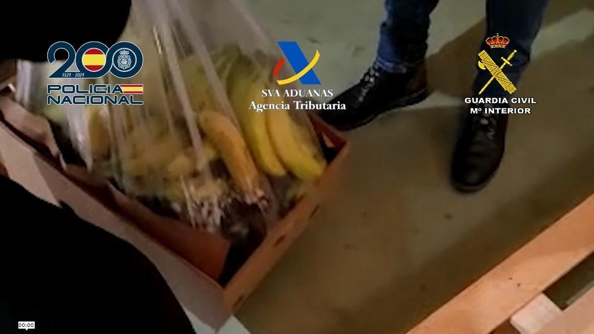 Cocaína escondida entre plátanos.