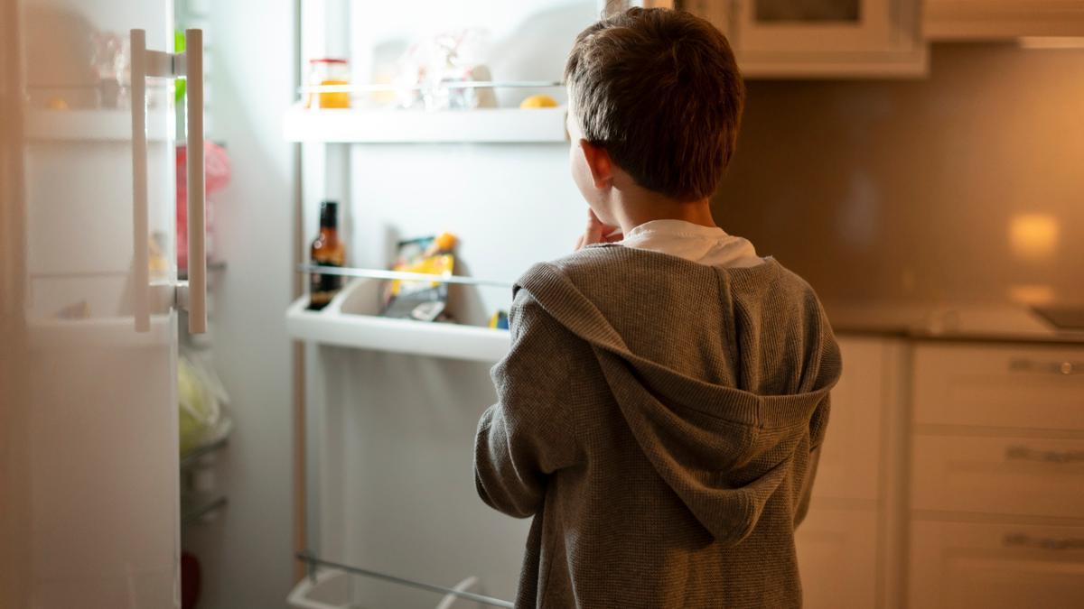 Un niño mira en el interior de una nevera.