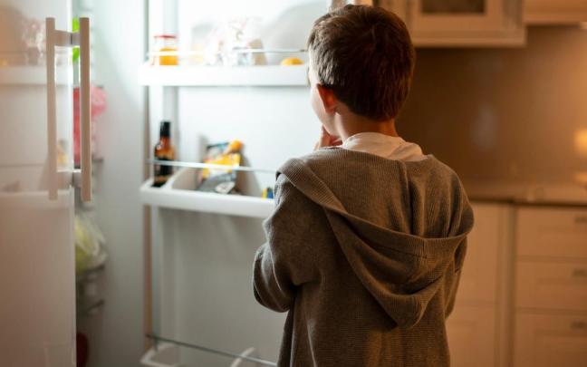 Un niño mira en el interior de una nevera.