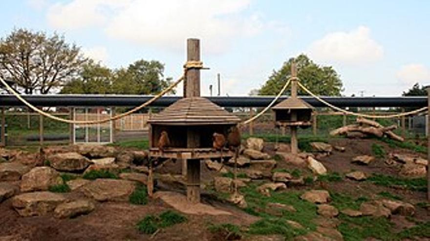 Imagen del Parque de Fauna Salvaje de Yorkshire