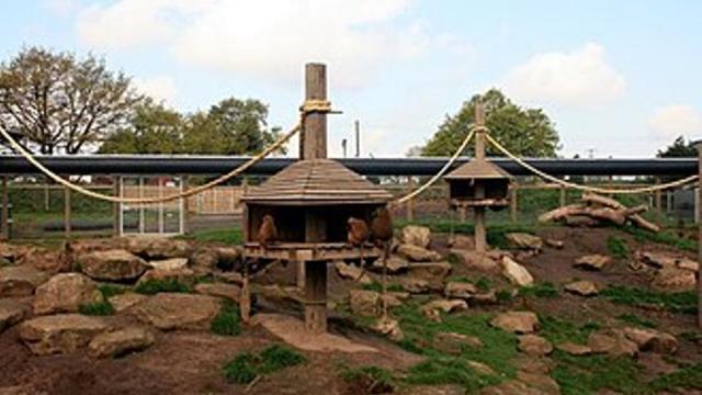 Imagen del Parque de Fauna Salvaje de Yorkshire