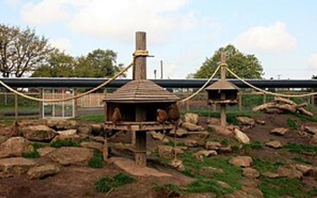Imagen del Parque de Fauna Salvaje de Yorkshire