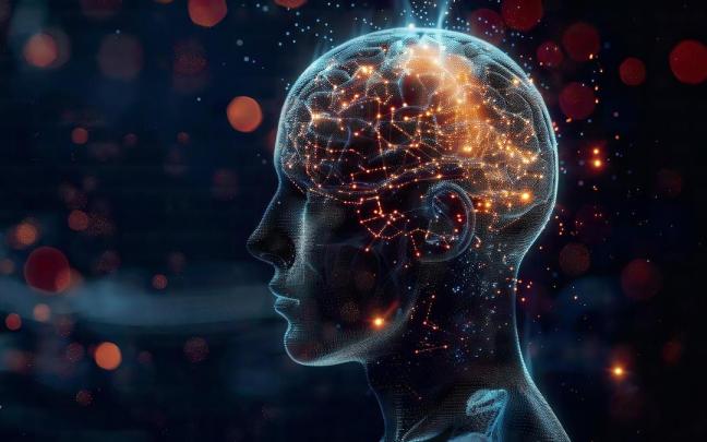 Recreación de una cabeza y de un cerebro humanos.