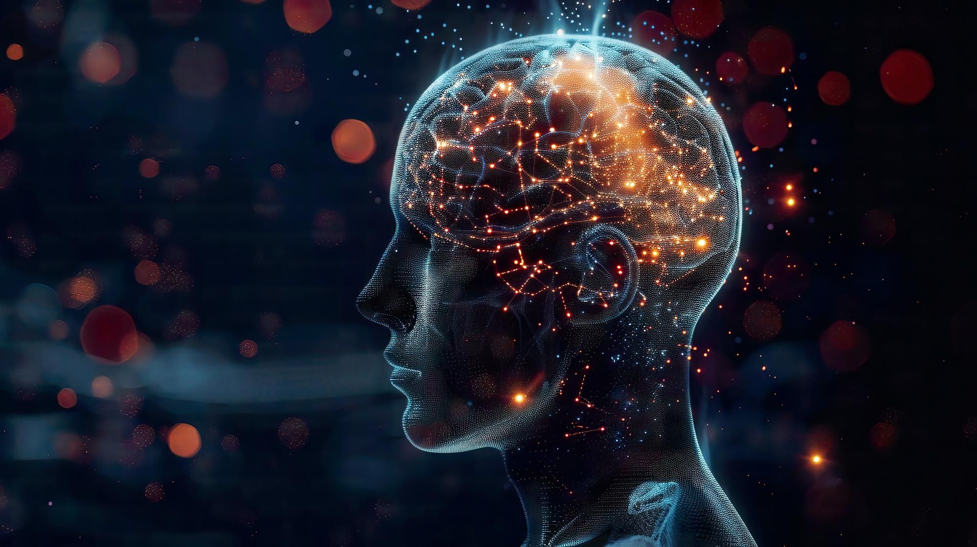 Recreación de una cabeza y de un cerebro humanos.