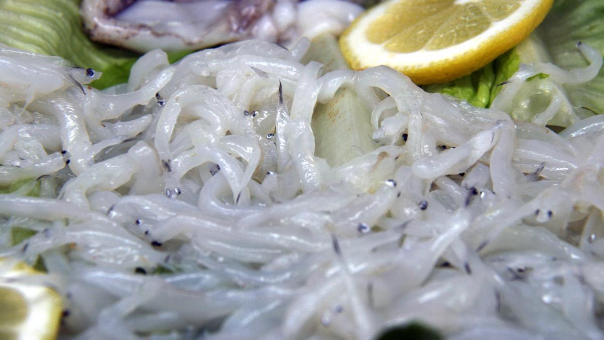 Angulas fresca y crudas en un mostrador de pescadería.