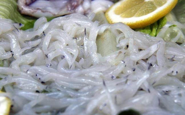 Angulas fresca y crudas en un mostrador de pescadería.