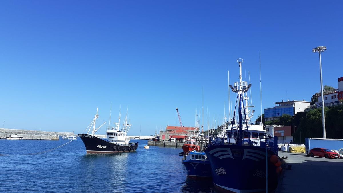 Barcos pesqueros en el puerto de Bermeo