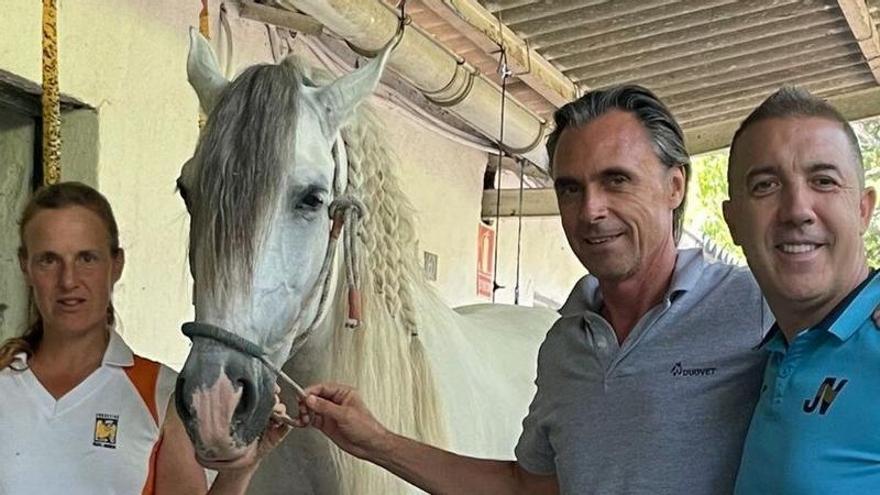 De izq a dcha, Teresa Jauquicoa, amazona, Diego Usón, veterinario y el fisioterapeuta José Vilariño en el pasado tratamiento a un caballo.