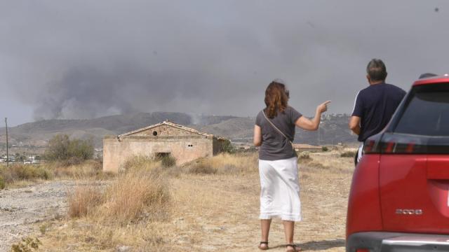 El incendio de Los Gallardos, en imágenes