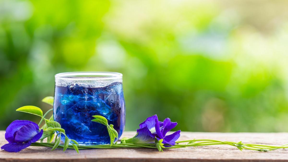 Un vaso de té azul junto a flores de guisante de mariposa.