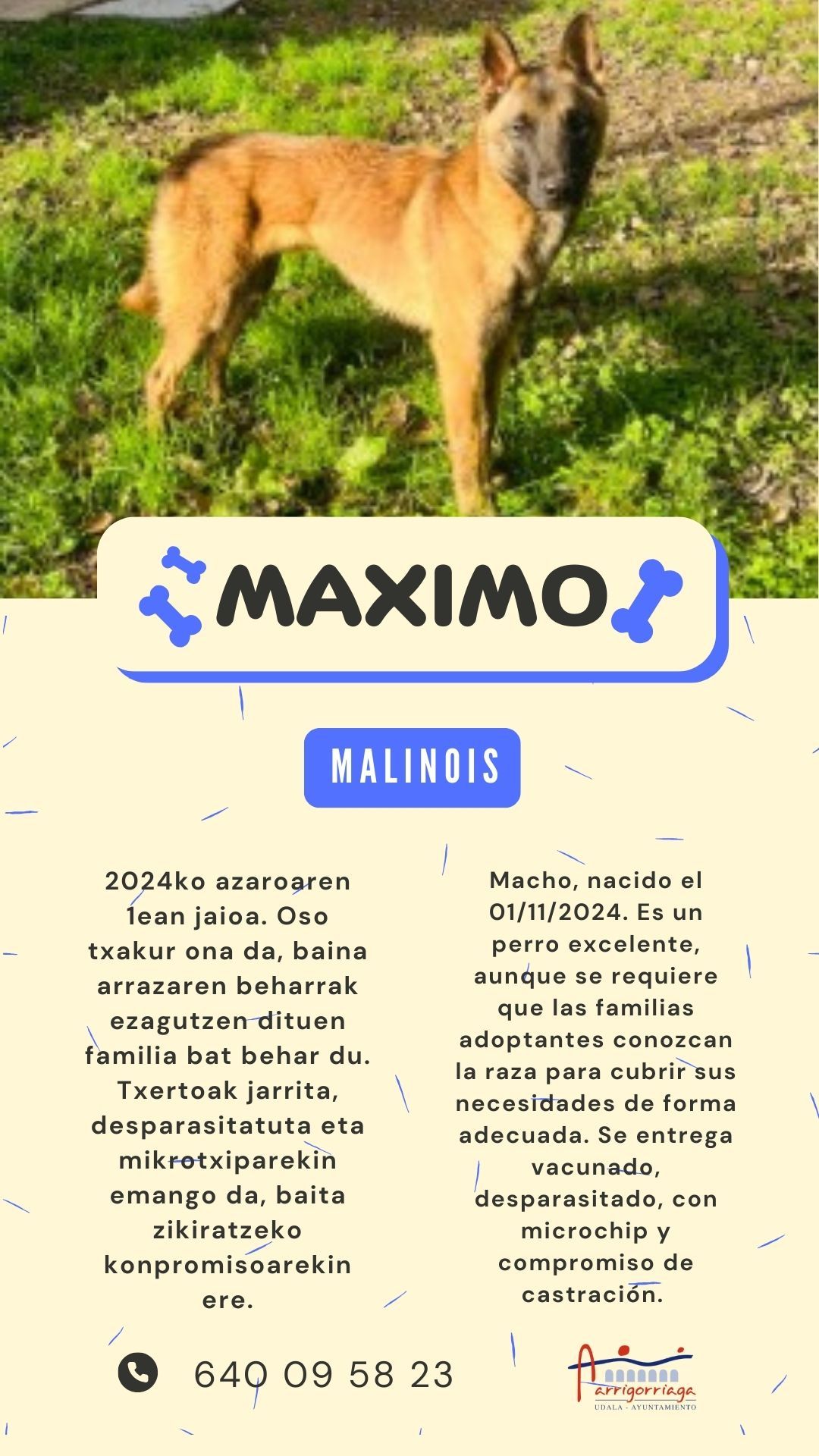Ficha de Máximo
