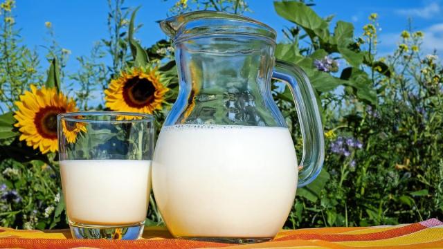 La leche ha desempeñado un papel fundamental en la alimentación de lactantes y niños pequeños. / Pixabay La leche ha desempeñado un papel fundamental en la alimentación de lactantes y niños pequeños.