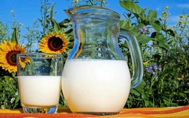 La leche ha desempeñado un papel fundamental en la alimentación de lactantes y niños pequeños. / Pixabay La leche ha desempeñado un papel fundamental en la alimentación de lactantes y niños pequeños.