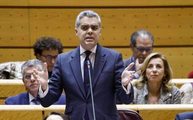 El senador del PP Vicente Azpitarte.