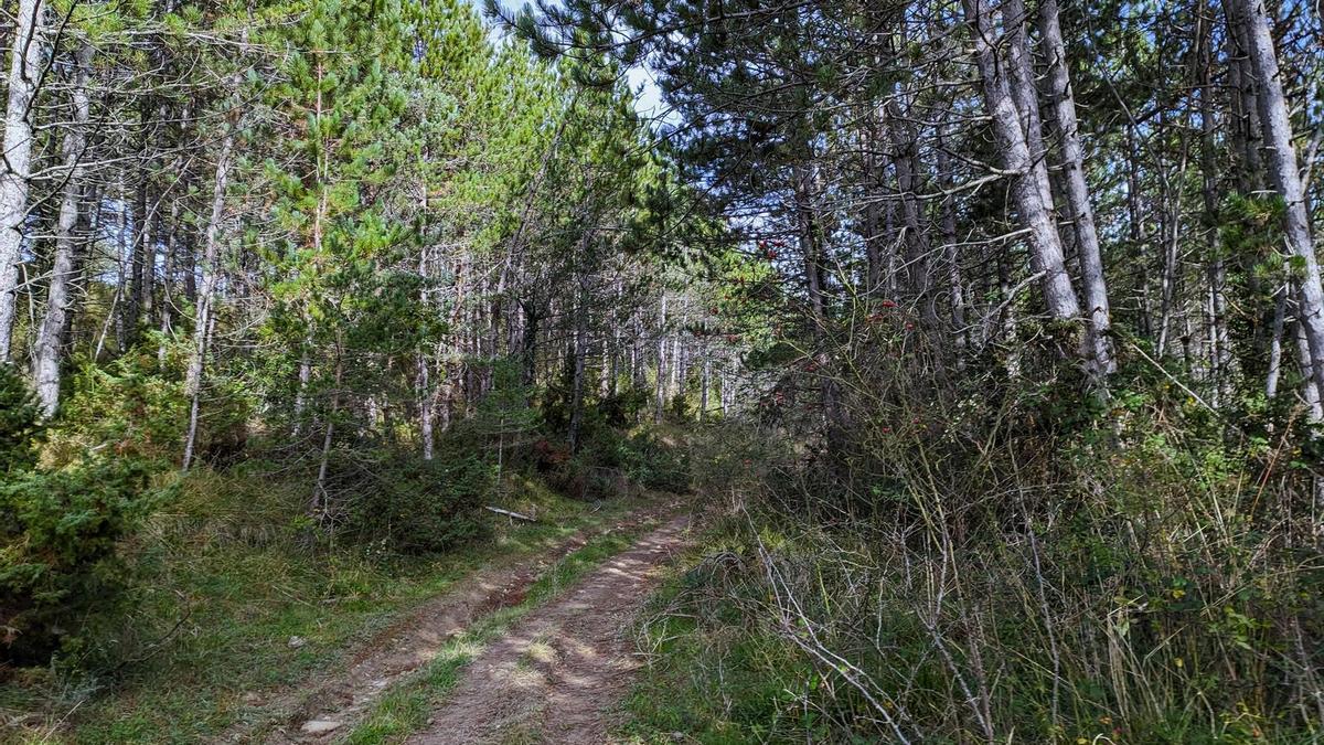 La pista es ancha y cómoda de transitar