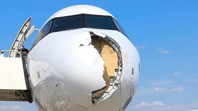 Imagen de los destrozos causados por el ave en el avión de Iberia.