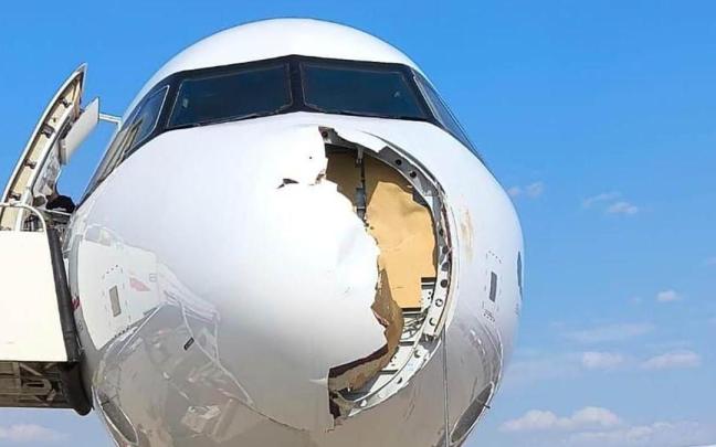 Imagen de los destrozos causados por el ave en el avión de Iberia. / X/Aviación Digital Imagen de los destrozos causados por el ave en el avión de Iberia.