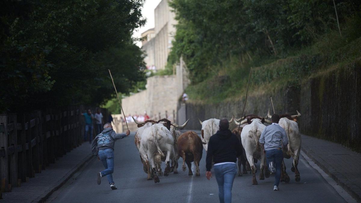 En encierrillo, una carrera silenciosa al anochecer.