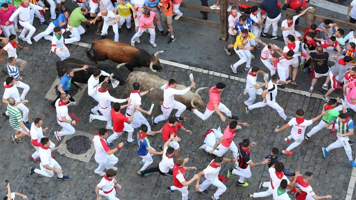 Toros de Fuente Ymbro.