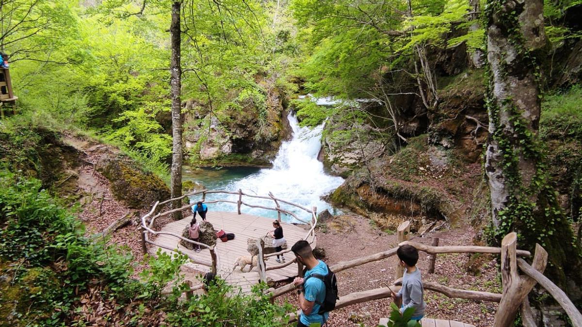 Todo un espectaculo para los sentidos