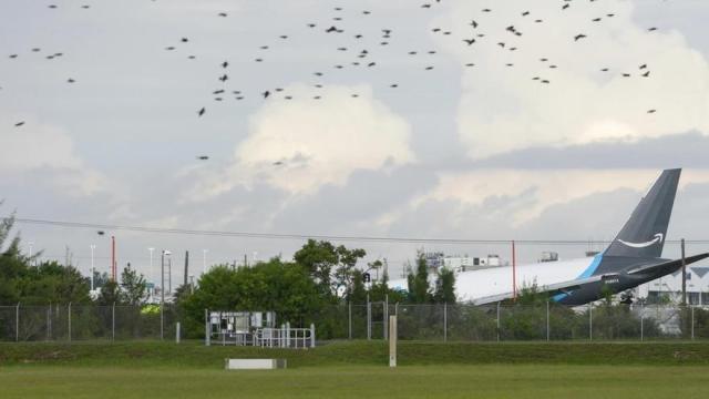 Imagen del avión siniestrado.