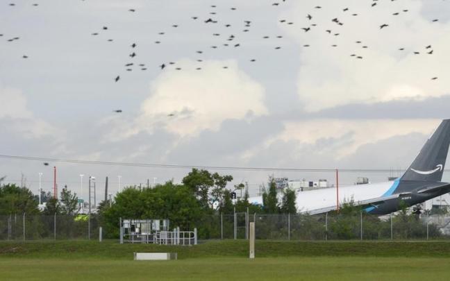 Imagen del avión siniestrado.