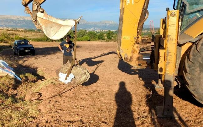 Extracción de la huella hallada.
